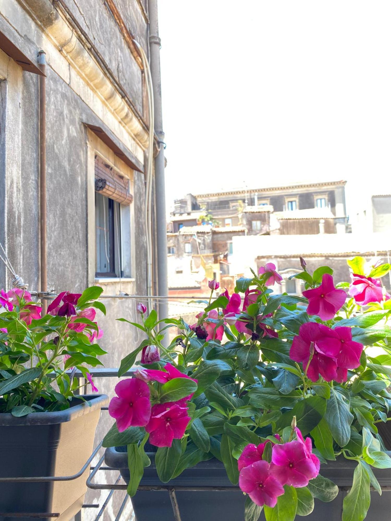 Dimora Dei Minoriti Bed & Breakfast Catania Bagian luar foto